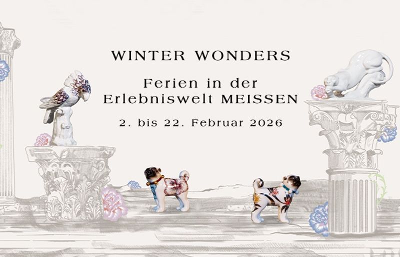 Winter Wonders